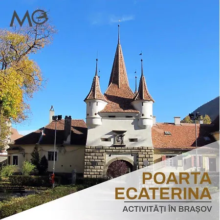 Mohost Wood - Bright Retreat With Private Balcony
